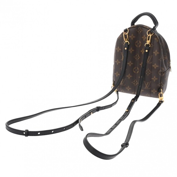 Louis Vuitton Handbags - Louis Vuitton Canvas Daypack Monogram Springs Brown Palm Backpack